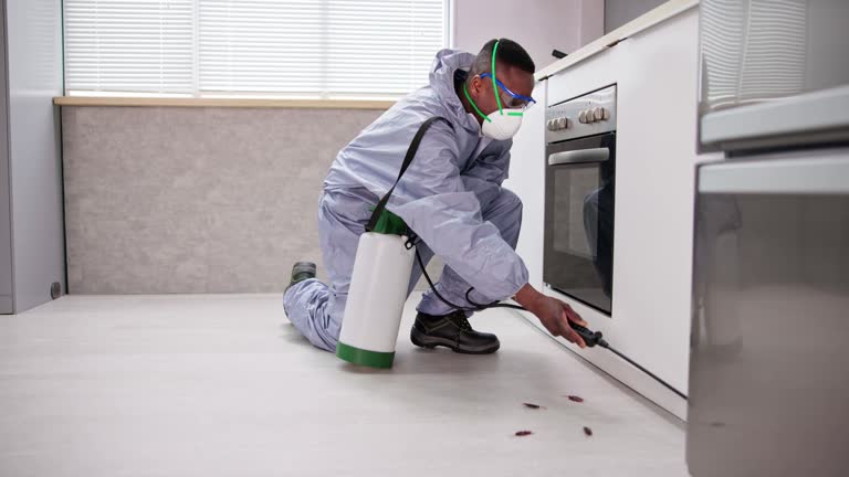 Best Pest Exclusion Services  in Divernon, IL